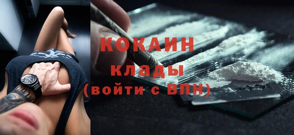 Альфа ПВП Аркадак