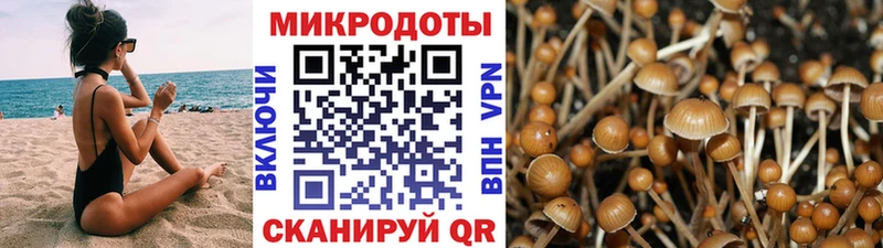 Галлюциногенные грибы Psilocybe даркнет Telegram Каневская